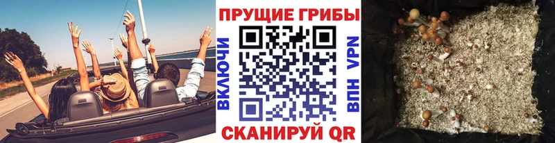 Псилоцибиновые грибы ЛСД Новотитаровская